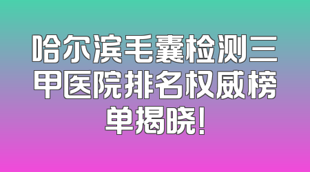 哈尔滨毛囊检测三甲医院排名权威榜单揭晓！