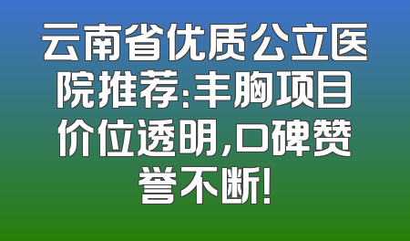 云南省优质公立医院推荐：丰胸项目价位透明，口碑赞誉不断！