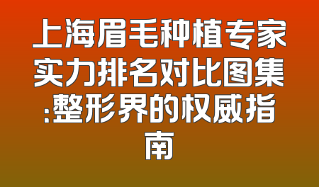 上海眉毛种植专家实力排名对比图集：整形界的权威指南