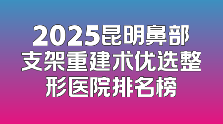2025昆明鼻部支架重建术优选整形医院排名榜