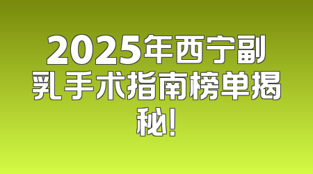 2025年西宁副乳手术指南榜单揭秘！