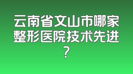 云南省文山市哪家整形医院技术先进？
