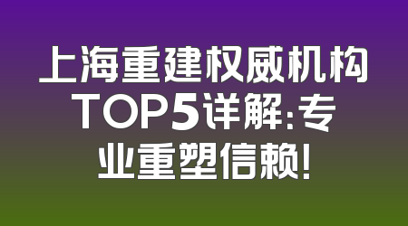 上海重建权威机构TOP5详解：专业重塑信赖！