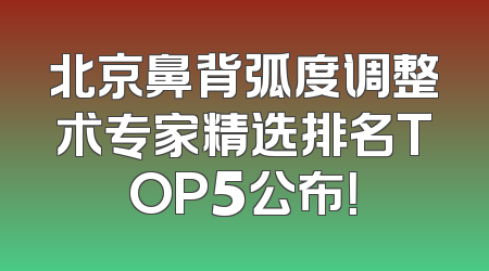 北京鼻背弧度调整术专家精选排名TOP5公布！