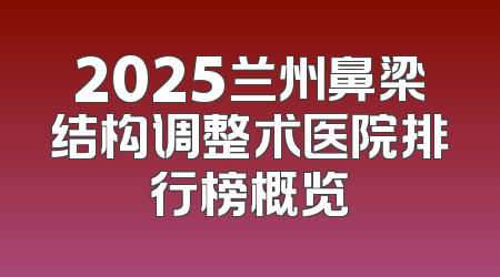 2025兰州鼻梁结构调整术医院排行榜概览