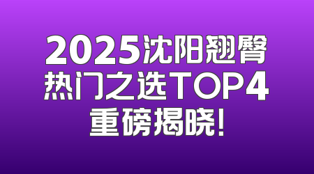 2025沈阳翘臀热门之选TOP4重磅揭晓！
