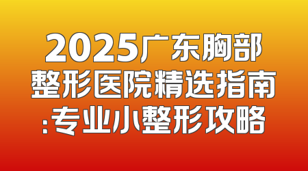 2025广东胸部整形医院精选指南：专业小整形攻略