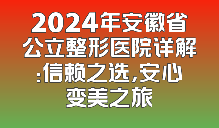 2024年安徽省公立整形医院详解：信赖之选，安心变美之旅