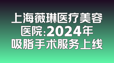 上海薇琳医疗美容医院：2024年吸脂手术服务上线