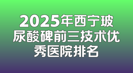 2025年西宁玻尿酸碑前三技术优秀医院排名