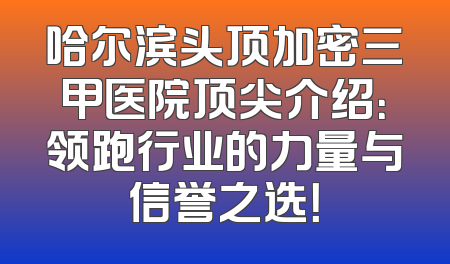 哈尔滨头顶加密三甲医院顶尖介绍：领跑行业的力量与信誉之选！