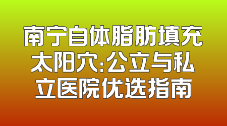 南宁自体脂肪填充太阳穴：公立与私立医院优选指南