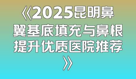 《2025昆明鼻翼基底填充与鼻根提升优质医院推荐》