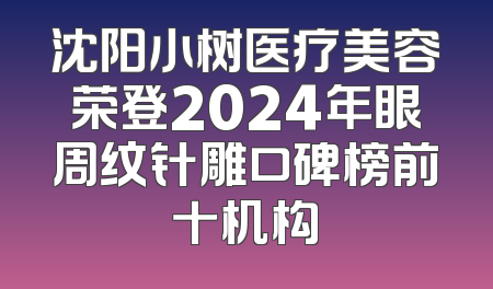 沈阳小树医疗美容荣登2024年眼周纹针雕口碑榜前十机构