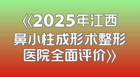 《2025年江西鼻小柱成形术整形医院全面评价》