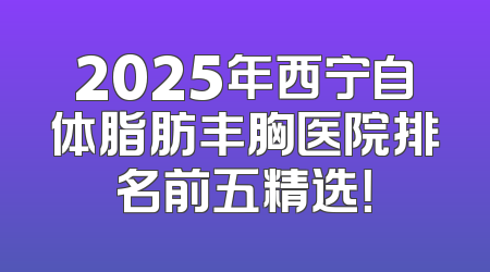 2025年西宁自体脂肪丰胸医院排名前五精选！