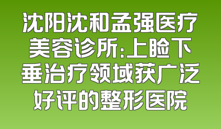 沈阳沈和孟强医疗美容诊所：上睑下垂治疗领域获广泛好评的整形医院