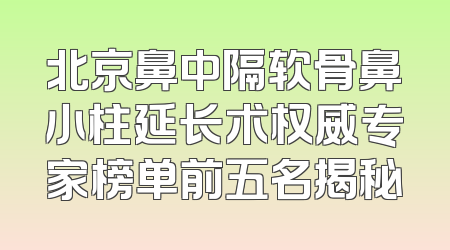 北京鼻中隔软骨鼻小柱延长术权威专家榜单前五名揭秘