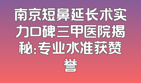 南京短鼻延长术实力口碑三甲医院揭秘：专业水准获赞誉