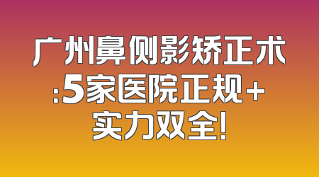 广州鼻侧影矫正术：5家医院正规+实力双全！