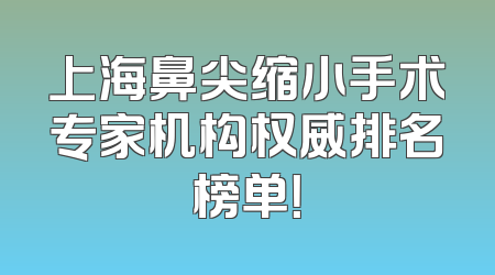 上海鼻尖缩小手术专家机构权威排名榜单！