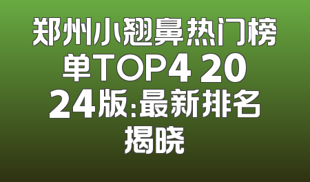 郑州小翘鼻热门榜单TOP4 2024版：最新排名揭晓