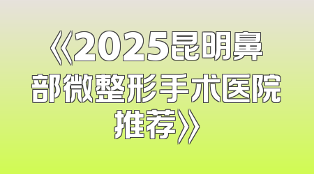 《2025昆明鼻部微整形手术医院推荐》