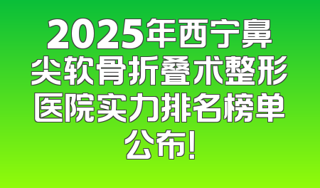 2025年西宁鼻尖软骨折叠术整形医院实力排名榜单公布！