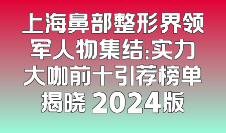 上海鼻部整形界领军人物集结：实力大咖前十引荐榜单揭晓 2024版
