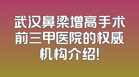 武汉鼻梁增高手术前三甲医院的权威机构介绍！