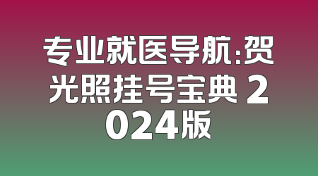 专业就医导航：贺光照挂号宝典 2024版