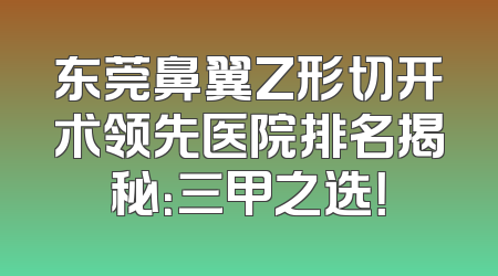 东莞鼻翼Z形切开术领先医院排名揭秘：三甲之选！