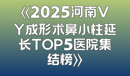 《2025河南VY成形术鼻小柱延长TOP5医院集结榜》