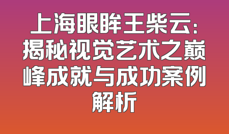 上海眼眸王柴云：揭秘视觉艺术之巅峰成就与成功案例解析