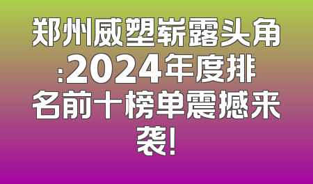 郑州威塑崭露头角：2024年度排名前十榜单震撼来袭！