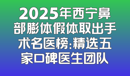 2025年西宁鼻部膨体假体取出手术名医榜：精选五家口碑医生团队