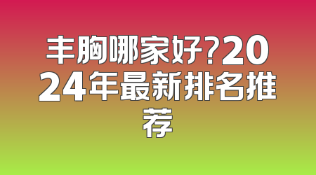 丰胸哪家好？2024年最新排名推荐