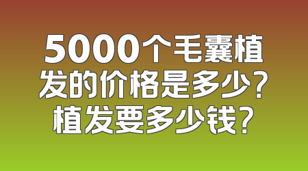 5000个毛囊植发的价格是多少？植发要多少钱？