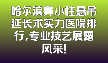 哈尔滨鼻小柱悬吊延长术实力医院排行，专业技艺展露风采！