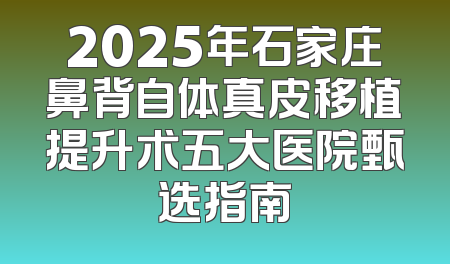 2025年石家庄鼻背自体真皮移植提升术五大医院甄选指南