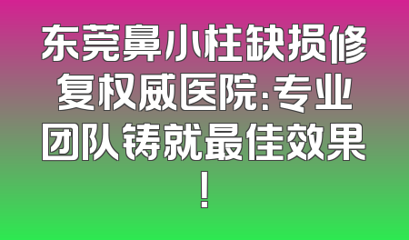 东莞鼻小柱缺损修复权威医院：专业团队铸就最佳效果！