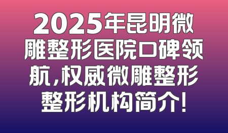 2025年昆明微雕整形医院口碑领航，权威微雕整形整形机构简介！