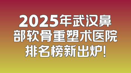 2025年武汉鼻部软骨重塑术医院排名榜新出炉！