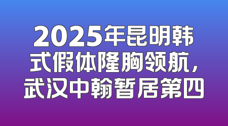 2025年昆明韩式假体隆胸领航，武汉中翰暂居第四