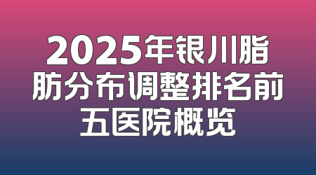 2025年银川脂肪分布调整排名前五医院概览