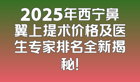2025年西宁鼻翼上提术价格及医生专家排名全新揭秘！
