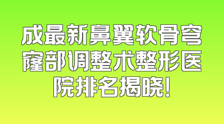成最新鼻翼软骨穹窿部调整术整形医院排名揭晓！