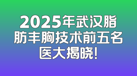 2025年武汉脂肪丰胸技术前五名医大揭晓！