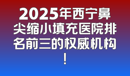 2025年西宁鼻尖缩小填充医院排名前三的权威机构！