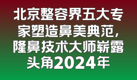 北京整容界五大专家塑造鼻美典范，隆鼻技术大师崭露头角2024年